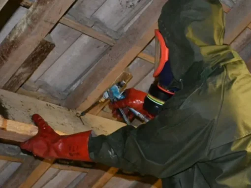 Traitement de charpente en Seine-et-Marne 77 | Net Toiture