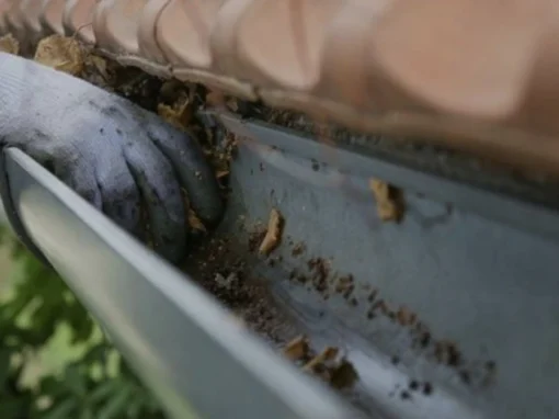 IMG 20240526 180042 | NET TOITURE 77 | Votre spécialiste de la couverture de toit 77 et de la rénovation 77 en Seine-et-Marne